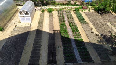 Bahçe yatakları. Sebze bahçesi manzaralı. Bahçe düzenleme tasarımı ve sera düzeni.