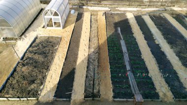 Pürüzsüz uzun yataklar ve seralar. Sebze bahçesi manzaralı. Bahçe alanının manzarası.