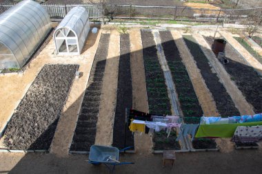 Sebze bahçesi manzaralı. Pürüzsüz uzun yataklar ve seralar. Yıkanmış çarşaflar dışarıda çamaşır ipine asılmış ve kurumuş..