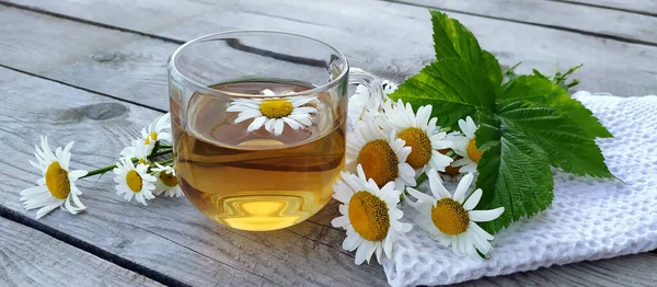 Ahşap arka planda cam bir fincanda papatya aromalı çay. Çiçek pankartı. Yaz aylarında kır çiçekleri, şifalı bitkiler, rahatlama ve detoksla dolu..