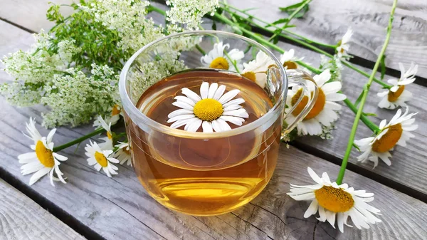 Ahşap bir arka planda cam bir fincanda papatya aromalı çay. Yaz aylarında kır çiçekleri ve papatya çayı ile dolu bir hayat. Çiçek arka planı.