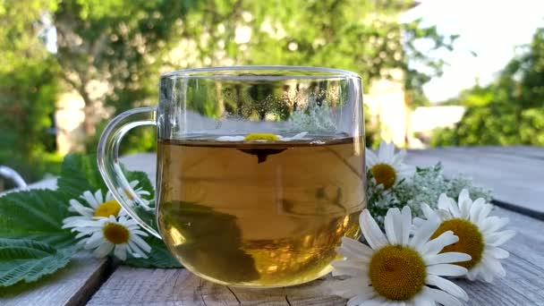 Té de manzanilla en una taza de vidrio se encuentra sobre un fondo de madera. Bebida herbal curativa de verano. Flores de manzanilla se elaboran en agua hirviendo. — Vídeo de stock