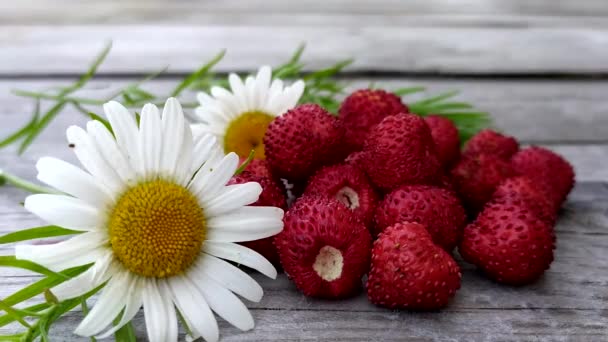 카메라맨 이 있는 딸기는 나무 배경에 놓여져 있습니다. 탁자 위에 야생화 에둘러 싸여 있는 붉은 열매들. — 비디오