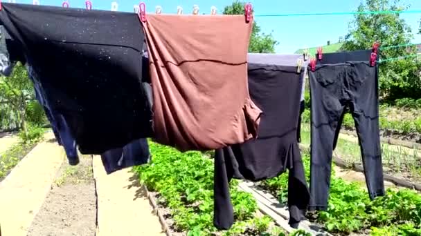 Kleding op een waslijn. Nat schoon linnen wordt op een zonnige dag aan een touw gedroogd in een moestuin. Was- en droogkleding. — Stockvideo