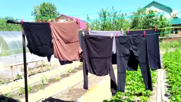 Clothes on a clothesline. Washing and drying clothes. Wet clean linen is dried on a rope in a vegetable garden on a sunny day. — Vídeos de Stock