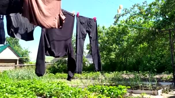 Laver et sécher les vêtements. Des vêtements sur une corde à linge. Le linge propre humide est séché sur une corde dans un potager par une journée ensoleillée. — Video