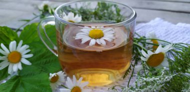 Papatya çayı. Çiçekler, yapraklar ve tahta zemin üzerinde çay olan bir fincan. Şifalı papatya çiçeğiyle iç..