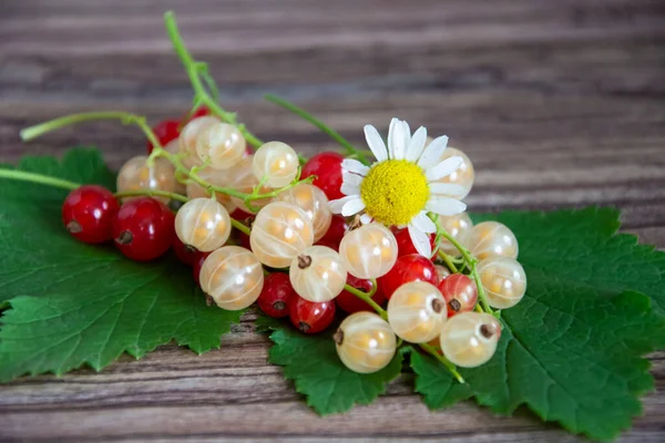 Vinbär Närbild Röda Och Vita Vinbär Med Kamomill Blommor Trä — Stockfoto