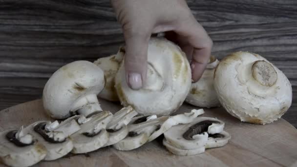 Champignons, whole and cut, lie on a wooden board. Edible mushrooms. — Stock Video