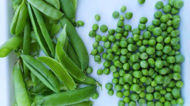 Yeşil bezelyeler beyaz tepside bir torbanın içinde. Bahçeden taze sebze topluyorum. Soyulmuş bezelyeler yakın plan..