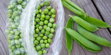 Yeşil bezelyeler bir torbada. Bahçeden taze sebze topluyorum. Yukarıdan görüntüle.