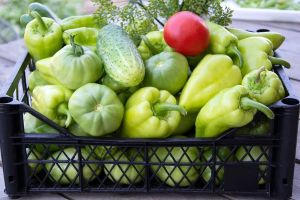 Λαχανικά Ένα Κοντινό Κουτί Φρέσκες Πιπεριές Αγγούρια Και Ντομάτες Κουτί — Φωτογραφία Αρχείου