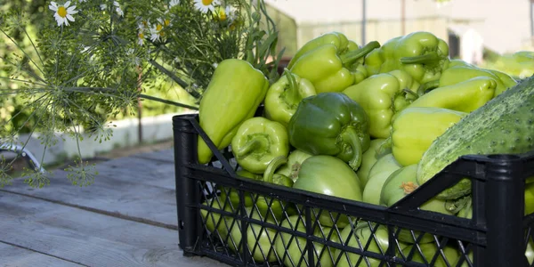 Λαχανικά Στο Καλάθι Φρέσκες Πιπεριές Αγγούρια Και Ντομάτες Κουτί Ξύλινο — Φωτογραφία Αρχείου