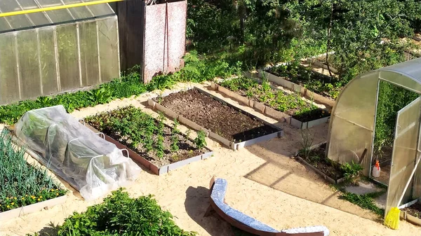 Jardines Con Verduras Casa Verano Plantaciones Hortalizas Invernaderos Huerto Vista Fotos de stock libres de derechos