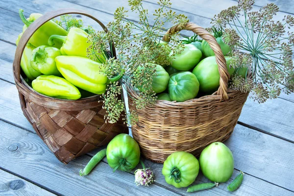 Vegetables in a basket close-up. Wicker baskets are filled with fresh vegetables and dill sprigs. Harvesting tomatoes and peppers in July.