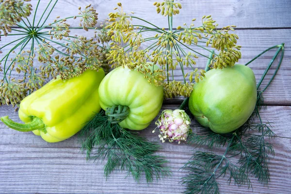 Latar Belakang Sayuran Paprika Tomat Hijau Dan Dill Berbaring Baris — Stok Foto