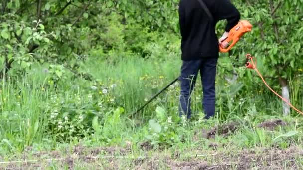El tipo corta la hierba en el jardín con una podadora. — Vídeos de Stock