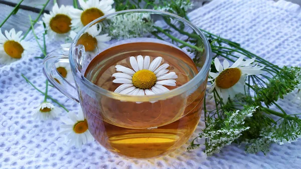 Teplý Tonikový Čaj Heřmánkovými Květy Léčivý Nápoj Léčivého Heřmánku — Stock fotografie