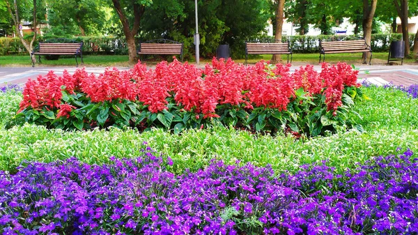 Kwietniki Parku Miejskim Aleja Kwiatami — Zdjęcie stockowe