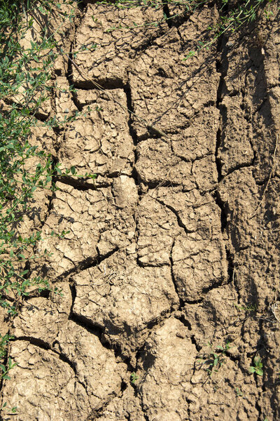 Dry cracked soil. Land without water.