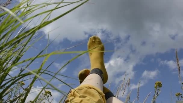 Bacaklar Gökyüzüne Karşı Çiçeklerin Arasındaki Dişi Bacaklar Sonbaharda Çayır Çimenleri — Stok video