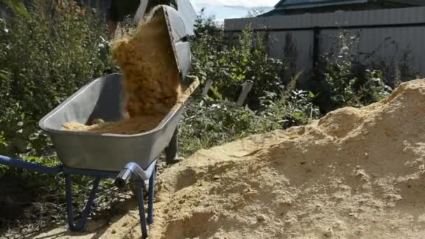 Woman Puts Sawdust Wheelbarrow Cleaning Sawdust — Stock Video
