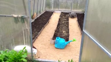 Kediler seranın etrafında dolaşır. Seradaki yatakları kazıp çıkardım. Talaş çizgileri.