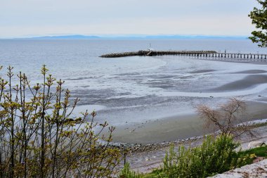 White Rock plajı ve deniz alçalınca iskele. Ufukta, BC 'nin Körfez Adaları var. İlkbahar 2021