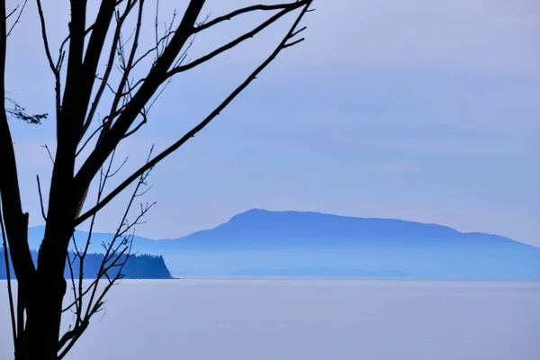 Interesante Silueta Árbol Sobre Fondo Azul Mar Cielo Península Boscosa — Foto de Stock