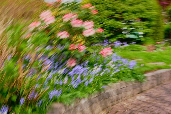 Med Hjälp Cirkulär Icm Avsiktlig Kamera Rörelse Trädgård Med Blå — Stockfoto