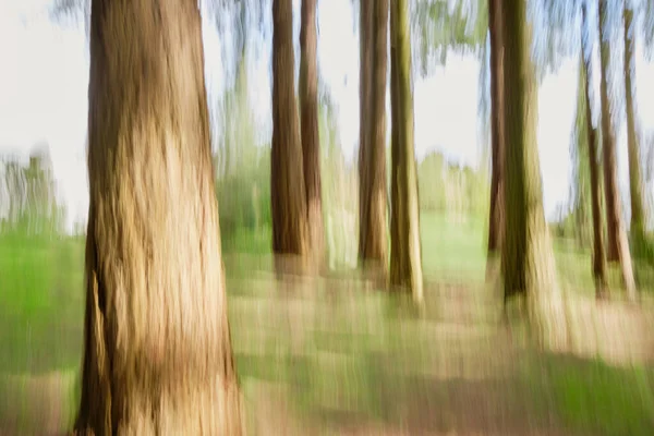 Icm Intentional Camera Movement Används Vertikalt För Att Skapa Abstrakt — Stockfoto