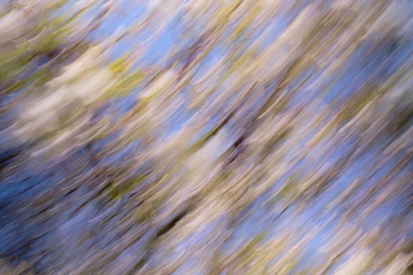 Icm Intentional Camera Movement Används För Att Skapa Ljus Rörelse — Stockfoto