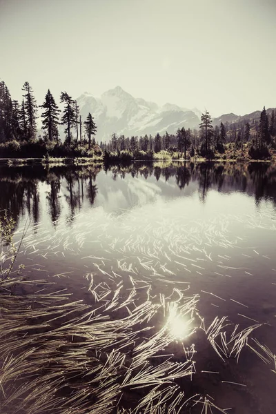 Desaturated Image Mount Shuksan Its Reflection Picture Lakewhere Floating Grasses — Stock Photo, Image