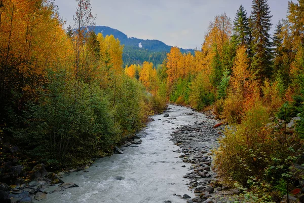 Zoek Fitzsimmons Creek Naar Whistler Mountain Vanaf Valley Trail Bladverliezende — Stockfoto