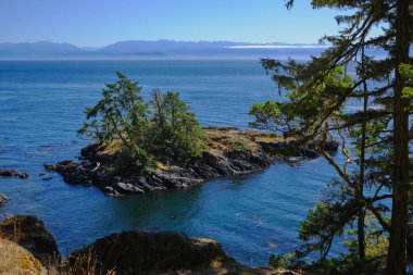 Views of forested islets and Olympic Mountains of Washington State from rugged Coast trail in East Sooke Regional Park, Vancouver Island, BC