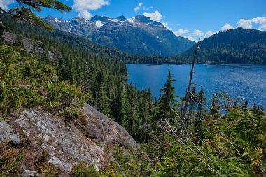 View of beautiful Bedwell Lake and glaciated Big Interior Mountain from a rocky outcrop in the surrounding evergreen forest, Strathcona Provincial Park, Vancouver Island, BC, Canada