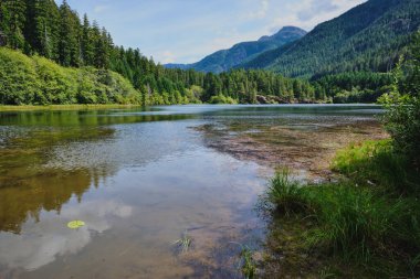 Looking across Crest lake toward forests and Kings Peak, Strathcona Provincial Park, BC.  A few water lily pads dot the surface of the lake.