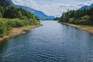 Looking south along Buttle Lake from the highway 28 bridge.  Luxuriant, thick forest extends to the waterline and covers the mountains and islets beyond.