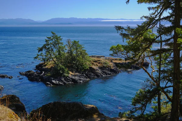 Vue Sur Les Îlots Boisés Les Montagnes Olympiques État Washington — Photo