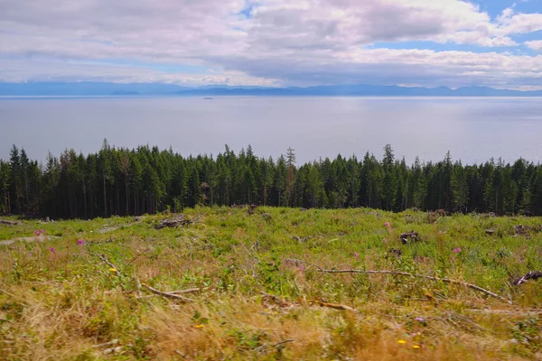 Uitzicht Tijdens Het Rijden Hwy Langs Vancouver Island Kust Ten — Stockfoto