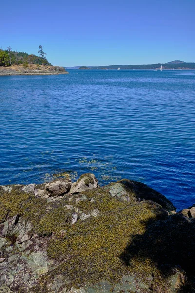 Sea Sailboats Looking North Waters Gulf Islands Beaver Point Ruckle — Stock Photo, Image