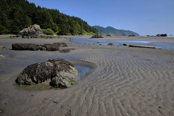 Alacsony Árapály Whaleshead Beach Oregon Samuel Boardman State Scenic Corridor — Stock Fotó