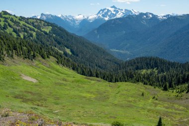 High Divide - ya High Divide Yolu 'ndan ya da Damfino Gölü' nden gelen yürüyüşçüler için Kuzey Washington 'daki buzullu zirveler için panoramik görüntüler sunuyor.