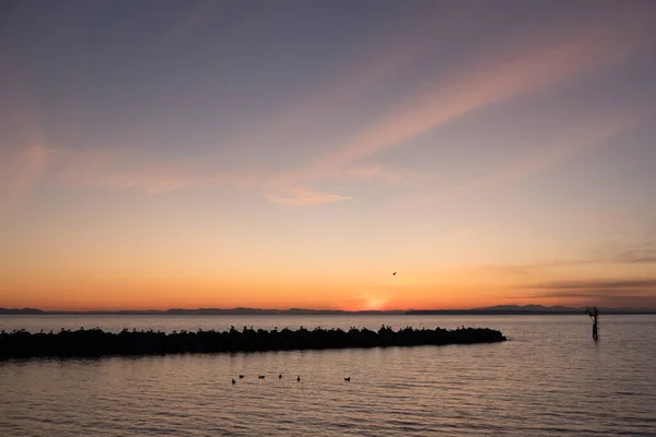 Aves Reúnem Torno Quebra Mar Rochoso Durante Espetacular Pôr Sol — Fotografia de Stock