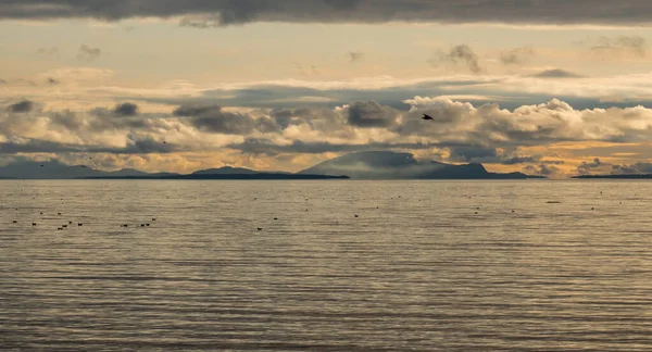 Las Aves Disfrutan Hermosos Cielos Sobre Bahía Semiahmoo White Rock — Foto de Stock