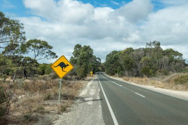 Kanguru Adası 'nda trafik işaretli yol önümüzde Kangurular var.