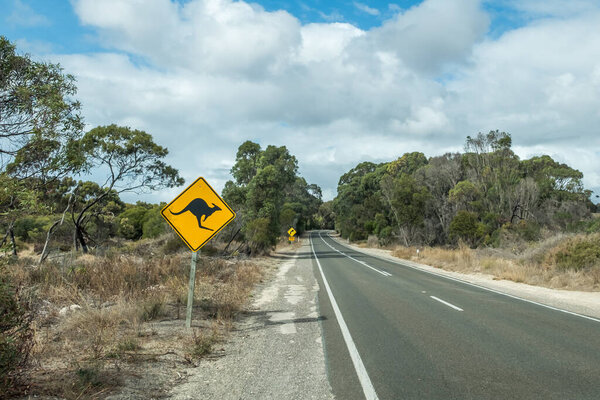 Road on Kangaroo Island with traffic sign warning of Kangaroos on the road ahead