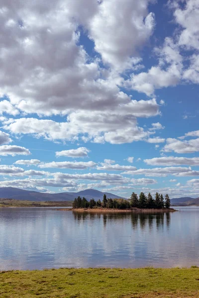 Las Coníferas Isla Lake Jindabyne Nsw Australia Reflejan Como Formas — Foto de Stock