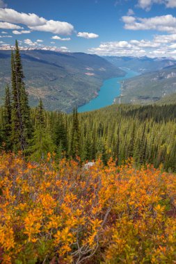 Mount Revelstoke Ulusal Parkı yamaçlarında parlak turuncu yapraklar ve koyu yeşil orman, BC, Kanada, Eagle Knoll Patikası manzaralı.