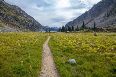 Kokanee Gölü yakınlarındaki Alp çayırları Kokanee Gölü patikası, Kokanee Buzul Parkı, BC, Kanada